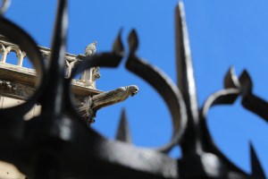 2012-09-08 20.54.30 Notre Dame, Paris (Copyright: Louise Ralph)