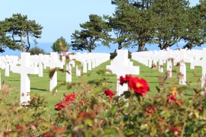 Copyright: Louise Ralph