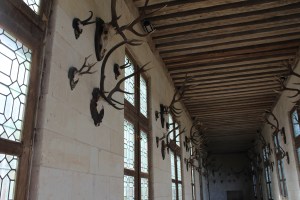 Copyright: Louise Ralph