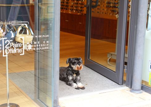 Copyright: Louise Ralph