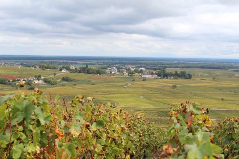 Copyright: Louise Ralph