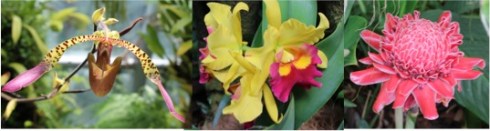 Copyright: Louise Ralph