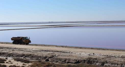 Copyright: Louise Ralph