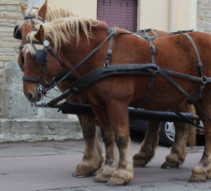 Copyright: Louise Ralph