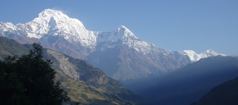 Copyright: Louise Ralph