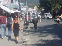 Copyright: Louise Ralph