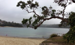 Copyright: Louise Ralph