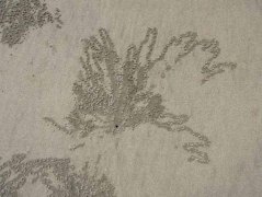 Copyright: Louise Ralph