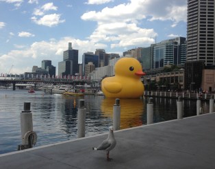 Copyright: Louise Ralph