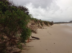 Copyright: Louise Ralph