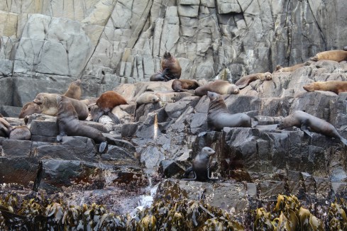 Copyright: Louise Ralph