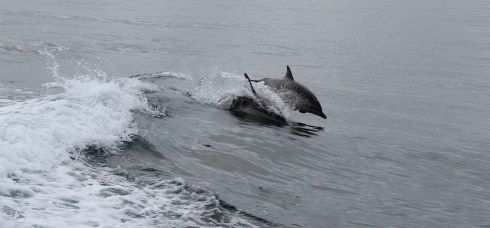 Copyright: Louise Ralph