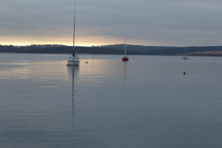 Copyright: Louise Ralph