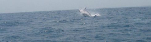 Copyright: Louise Ralph