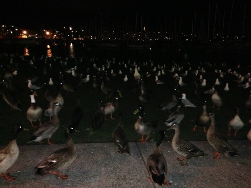 Copyright: Louise Ralph