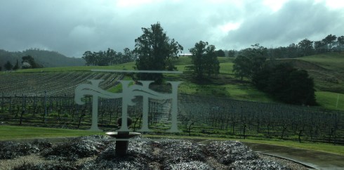 Try the award winning 2010 Kelly's Reserve Pinot Noir. Yum.