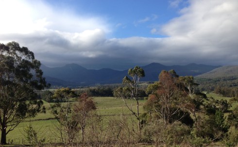 Copyright: Louise Ralph