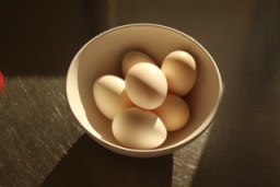 eggs