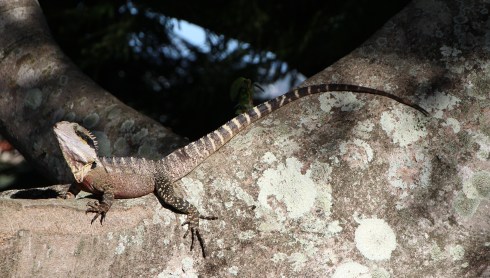 Copyright: Louise Ralph