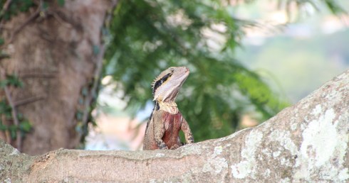 Copyright: Louise Ralph