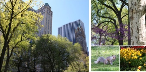 Copyright: Louise Ralph