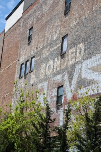 Copyright: Louise Ralph