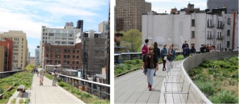 Copyright: Louise Ralph