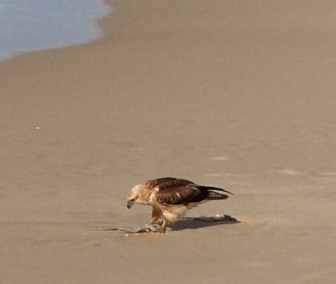 Copyright: Louise Ralph