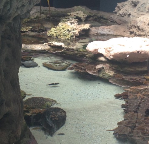 Copyright: Louise Ralph