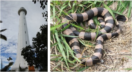 Copyright: Louise Ralph