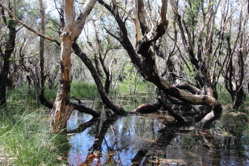 Copyright: Louise Ralph