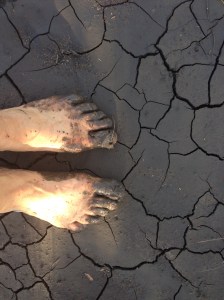 Copyright: Louise Ralph