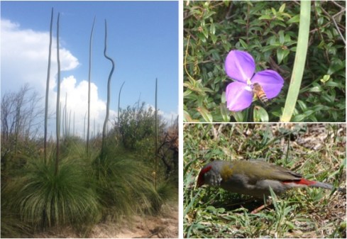 Copyright: Louise Ralph