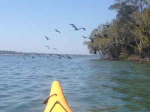 Copyright: Louise Ralph