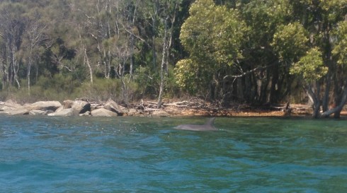 Copyright: Louise Ralph