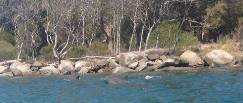 Copyright: Louise Ralph