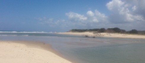 Copyright: Louise Ralph