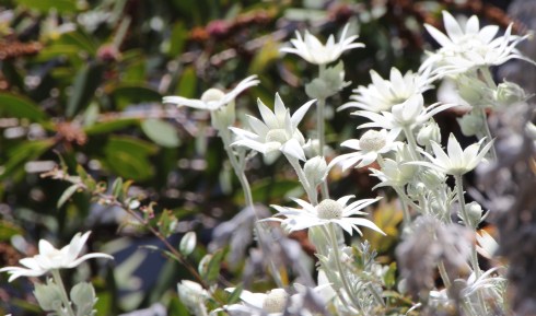 Copyright: Louise Ralph