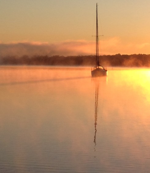 Copyright: Louise Creely