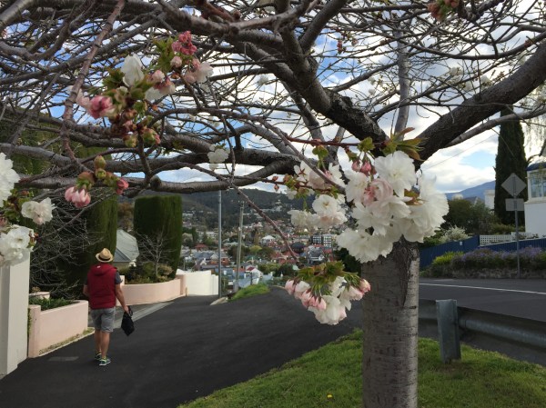 Copyright: Louise Creely