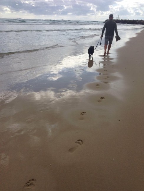 Copyright: Louise Creely, 2015