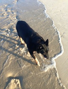 Copyright: Louise Creely, 2015