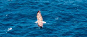 Copyright: Louise Creely