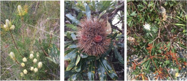 Copyright: Louise Creely 2015