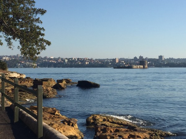 Copyright: Louise Creely