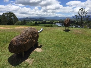 Copyright: Louise Creely