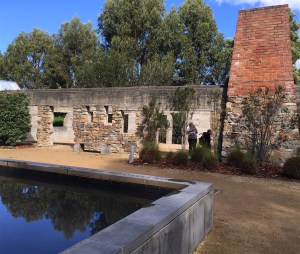 Copyright: Louise Creely