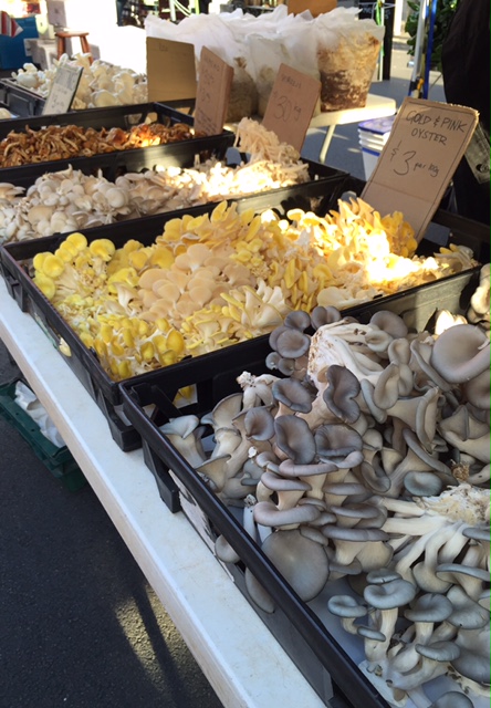 Copyright: Louise Creely 2016