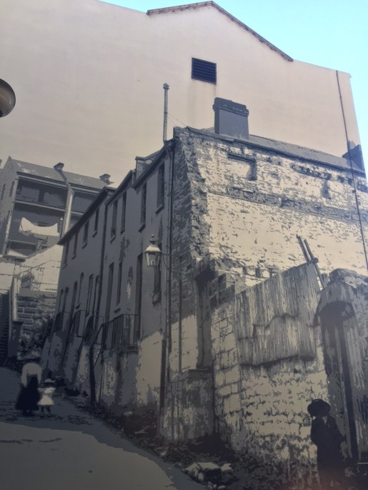 Copyright: Louise Creely