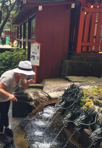 Copyright: Louise Creely